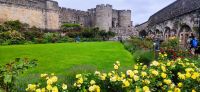 104 Stirling Castle, Garten