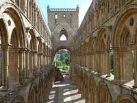 Jedburgh Abbey