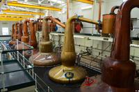0120 Rothes, Glen Grant Distillery