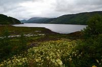 0167 Eilean Donan Castle, Loch Duich