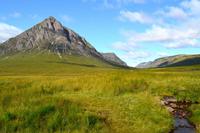 0240 Glencoe, Hirte