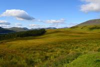 0246 Highlands am Loch Tulla
