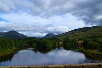 0250 Highlands, River Awe