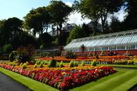 0342 Insel Bute, Ardencraig Garden