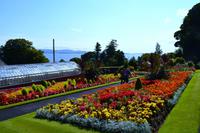 0343 Insel Bute, Ardencraig Garden