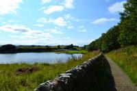 0377 Reisegruppe am Hadrianswall bei Cawfield