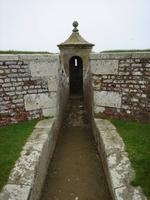 Niesche an den Mauern von Fort George
