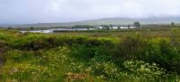 111 Rannoch Moor