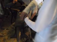 Gretna Green - Ambosshochzeit: das 