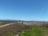 Ring of Brodgar, Steinkreis, Orkneys