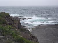 Robbenfelsen am Old Wick Castle