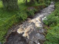 typischer schottiscer Fluss mit torfhaltigem Wasser
