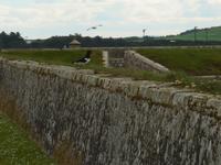 Bunte Tierwelt in Fort George
