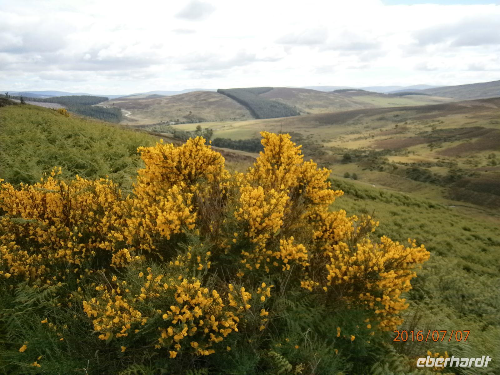 Grampion Mountains - Fotostopp
