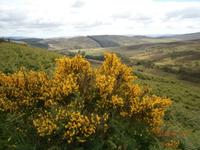 Grampion Mountains - Fotostopp