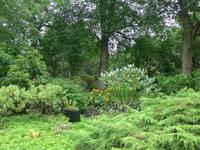  Garten von Hollyrood Palace