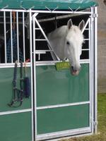 Provisorischer Stall auf dem Gelände dem Palace of Hollyroodhouse 