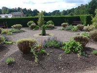 Jedburgh Abbey - Abteikräutergarten