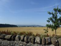 Feld vor Stirling Castle