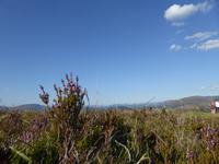 Schottland Impressionen