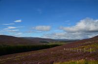 131 Cairngorm Mountains bei Corgarff Castle