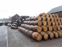 Fässerhof der Springbank-Distillery in Campbeltown