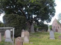 Abteiruine mit Friedhof in Beauly