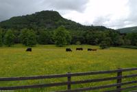 Rundreise Schottland - Eberhardt-Travel - Inveraray Castle