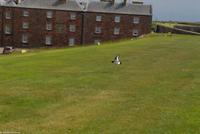 Rundreise Schottland - Eberhardt-Travel - -0763