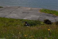 Rundreise Schottland - Eberhardt-Travel - -0795