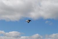 Rundreise Schottland - Eberhardt-Travel - -0808