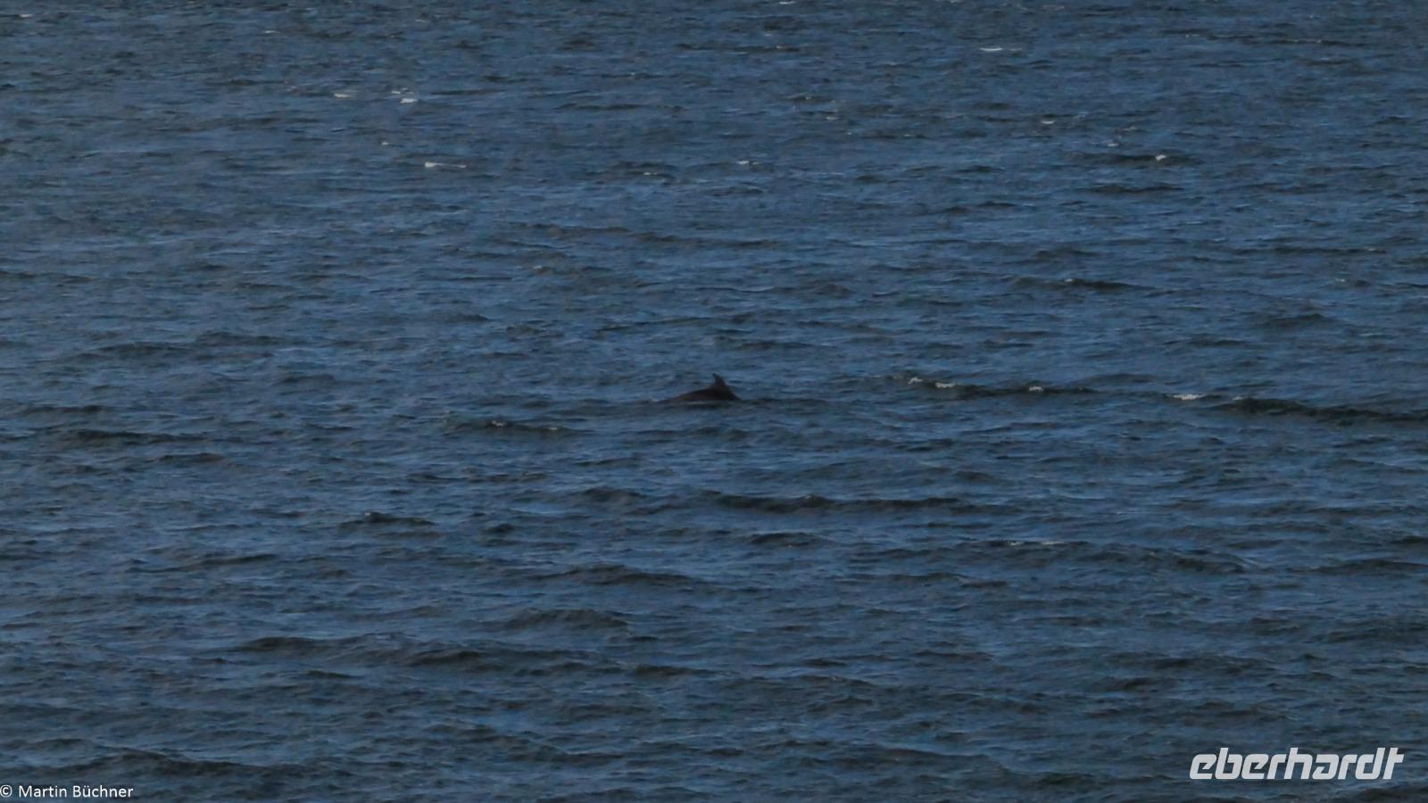 Rundreise Schottland - Eberhardt-Travel - -0808B