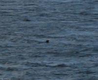 Rundreise Schottland - Eberhardt-Travel - -0809