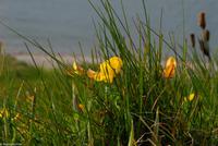 Rundreise Schottland - Eberhardt-Travel - -0815