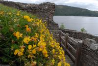 Rundreise Schottland - Eberhardt-Travel - -0973