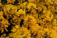 Rundreise Schottland - Eberhardt-Travel - -1010