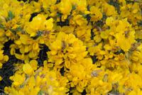 Rundreise Schottland - Eberhardt-Travel - -1014