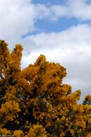 Rundreise Schottland - Eberhardt-Travel - -1017