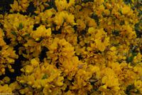 Rundreise Schottland - Eberhardt-Travel - -1020