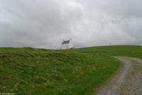 Rundreise Schottland - Eberhardt-Travel - -1463