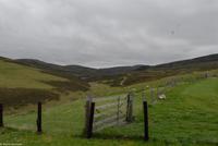 Rundreise Schottland - Eberhardt-Travel - -1509