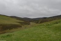 Rundreise Schottland - Eberhardt-Travel - -1511