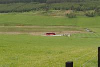 Rundreise Schottland - Eberhardt-Travel - -1523