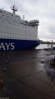 Rundreise Schottland - Eberhardt-Travel - DFDS Princess Seaways - Weg nach Ijmuiden
