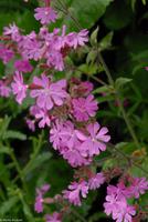 Rundreise Schottland - Eberhardt-Travel - Falkirk Wheel am Union Canal