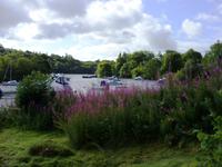 Tag 3 - 2 - Loch Lomond (1)