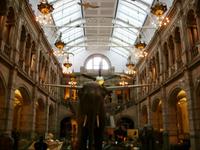 Tag 4 - 4 - Kelvingrove Art Gallery and Museum (5)