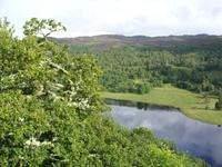 Tag 4 - 8 - Queen's View am Loch Tummel (5)