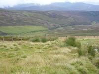 Tag 6 - 2 - schottische Heidelandschaft (1)