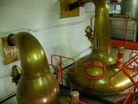 Tag 6 - 7 - Besichtigung der Edradour-Destillerie in Pitlochry (6)